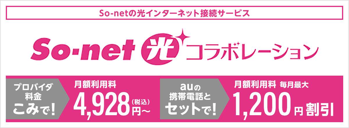 So-net光インターネット接続サービス So-net光